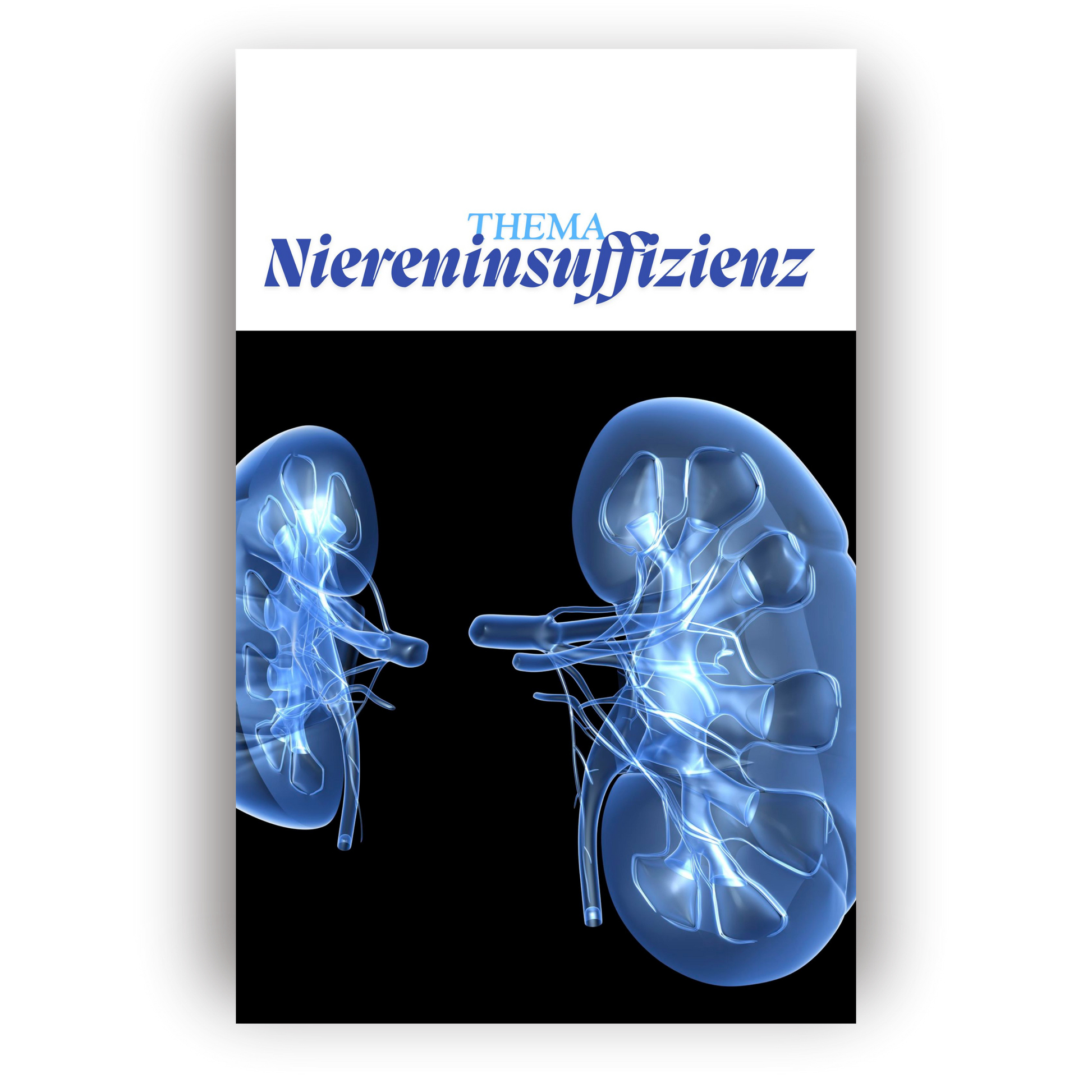 Niereninsuffizienz kompakt