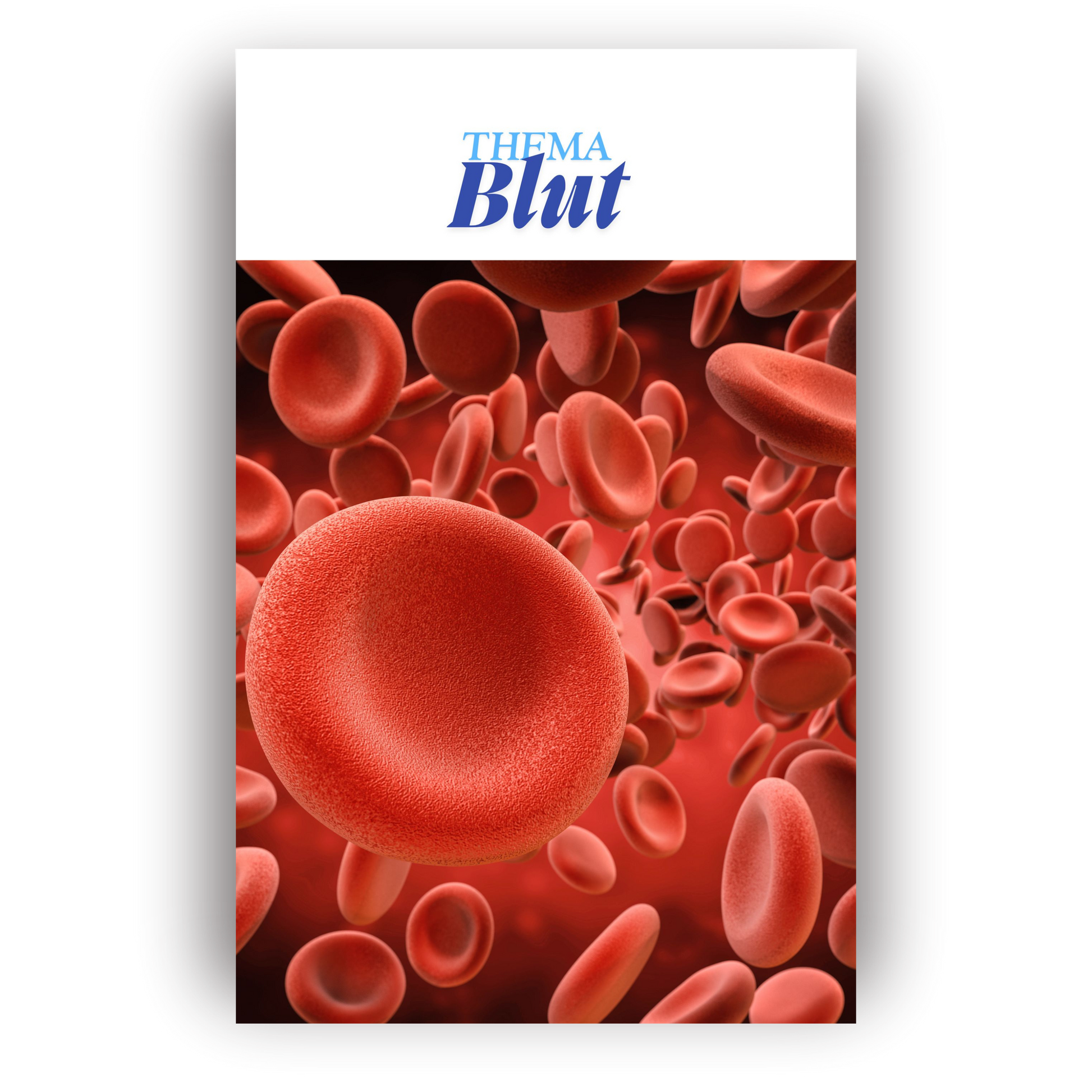 Blut verstehen – Das kompakte Pflege-Kittelbuch als PDF